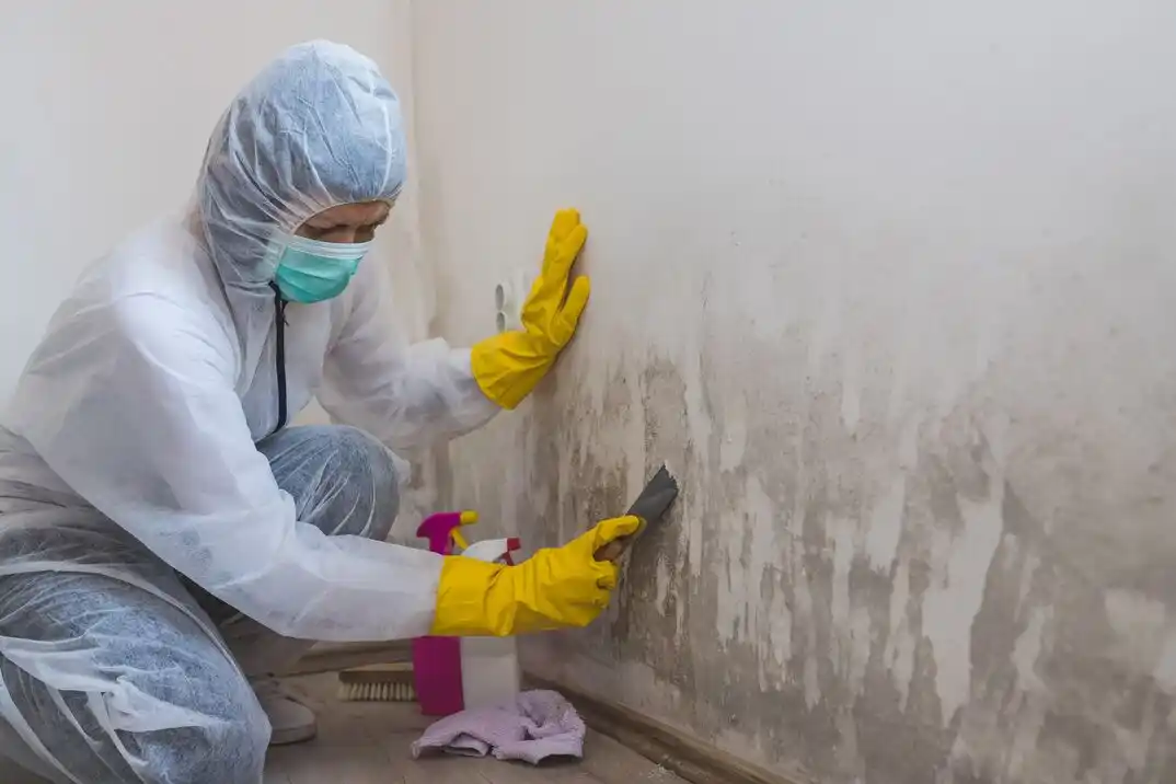 water damage restoration service Overbrook